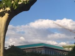 -重庆特色冷锅鱼(武大店)