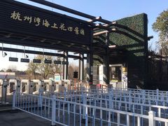 -杭州湾海上花田景区