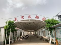 -西瓜小镇