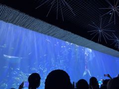 -华夏文旅西安度假区