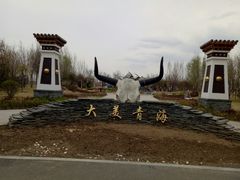 -武清南湖绿博园