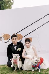 -琥珀婚礼策划AMBER WEDDING
