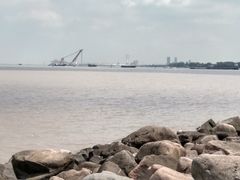 -滨江森林公园-真人CS野战场