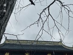 -西园戒幢律寺