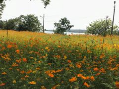-昭山风景名胜区