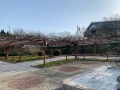 -嘉定紫藤园