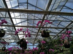 -南通洲际绿博园