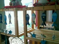 -猫姑娘大盘鸡(商城路店)