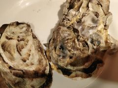 -星伦多自助料理·涮烤一体(嘉兴八佰伴店)