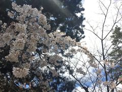 -京都御所
