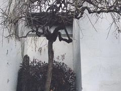 -南翔古镇