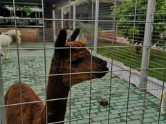 -迪茵湖田家舍生态农场