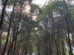 -Club Med地中海俱乐部·桂林度假村