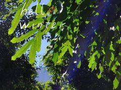 -小洲村