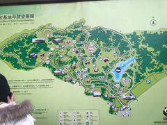 导游图-成都大熊猫繁育研究基地