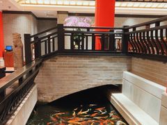 -龙悦湾酒家·八阵鱼生·渔人码头店