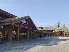 -千年银杏谷文化旅游区