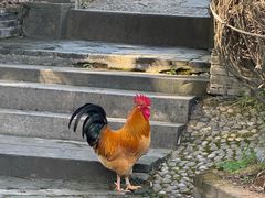 -木子山庄·安徽省老字号·中国炖锅宴