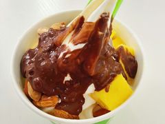 -Salud撒露欧洲冻酸奶(798艺术区店)