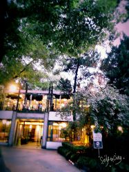 -丁香花园申粤轩·宴会厅
