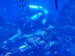 -华夏文旅海洋公园