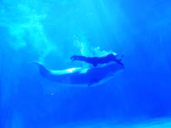 -多彩贵州城极地海洋世界