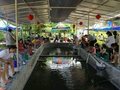 -小象钓虾·营地烧烤(洛溪店)