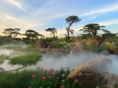 -罗红摄影艺术馆