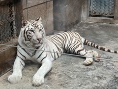 -西安秦岭野生动物园