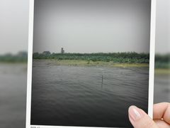 -白洋淀景区
