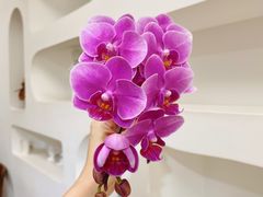 -森野花艺培训·企业团建活动沙龙