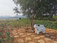 -君乐宝优致牧场