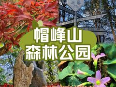 -广州市帽峰山景区