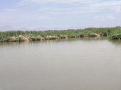 -哈素海
