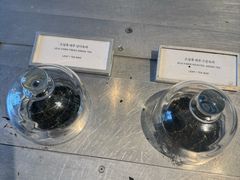 -雪绿茶博物馆