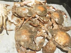 -聚盛源蒸汽海鲜火锅烤肉自助(巨川金海岸购物广场店)