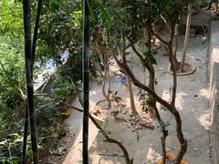 -鲤鱼塘农家山庄