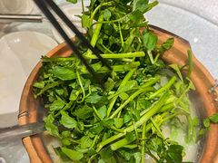-成丰酒家
