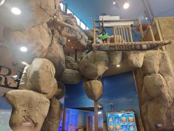 -卡通尼·Safari非洲探索乐园·生日会(金桥国际商业广场店)