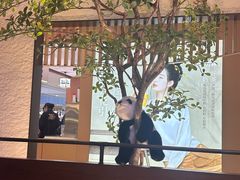 -川成元·麻辣香锅(凯德MALL西直门店)