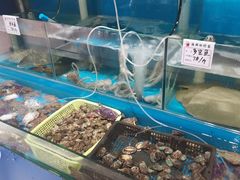 水产区-1910老鲁味海鲜·戳子肉·青岛菜(金沙滩店)