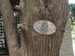 -即墨古城