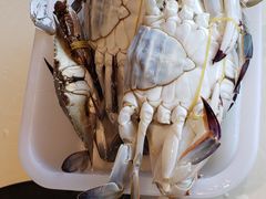 -蓝珊甄选海鲜自助·火锅大排档(近阿那亚店)