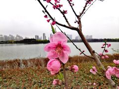 -石湖景区