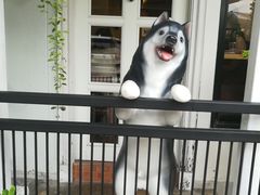 -TrueLove @ Neverland (Husky Cafe)