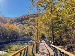 -白水寺森林公园