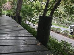 -新江湾城公园
