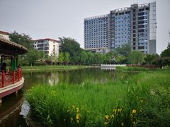 -西海子公园
