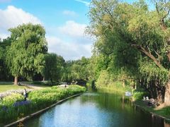 -上海共青森林公园