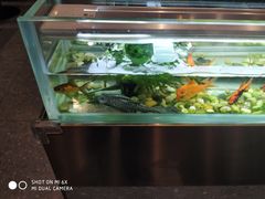 -黄鱼炙夜(华家池店)